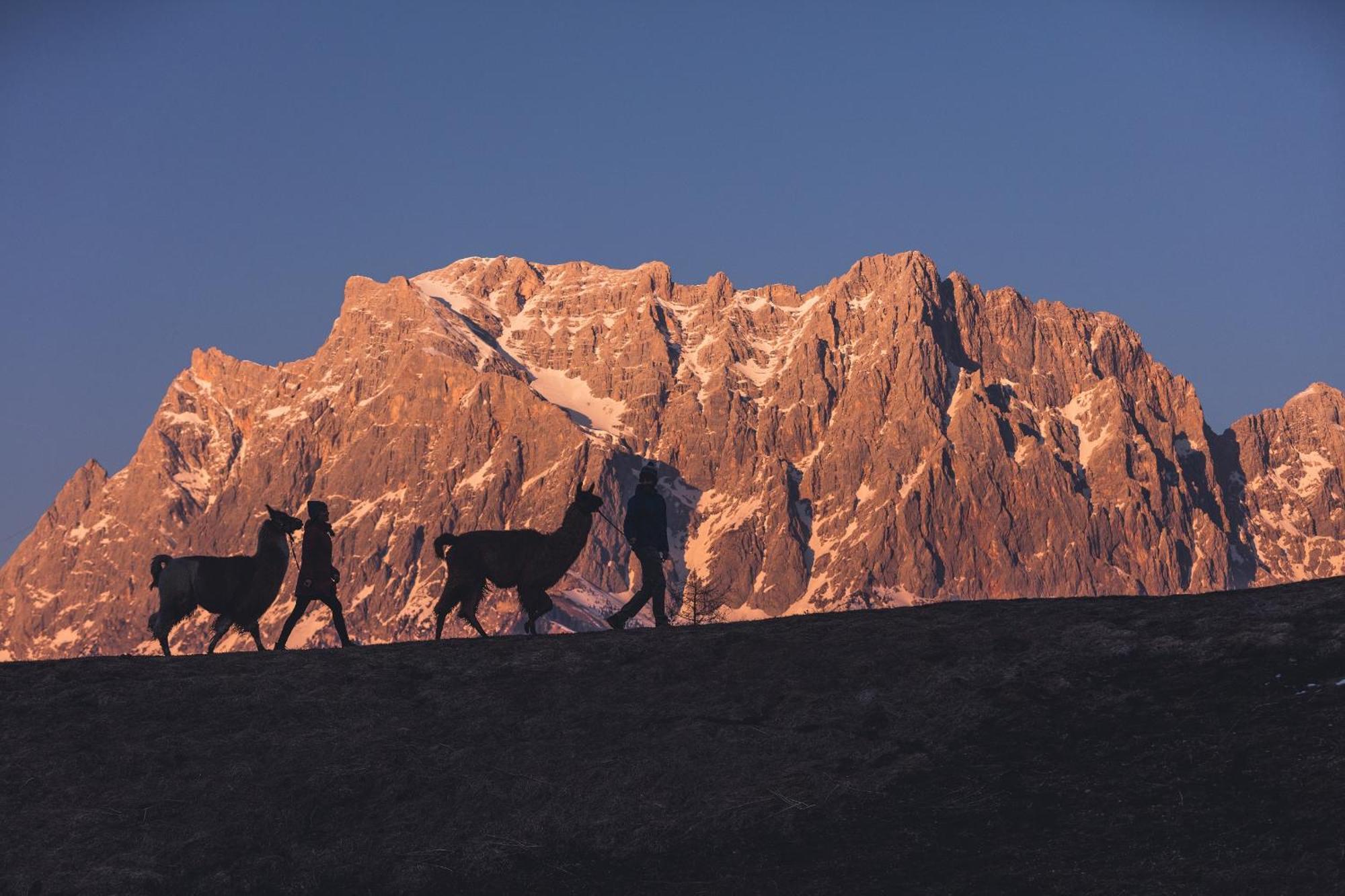 Appartement Gipfelblick- Tiroler Zugspitze Arena In Бибервир Екстериор снимка